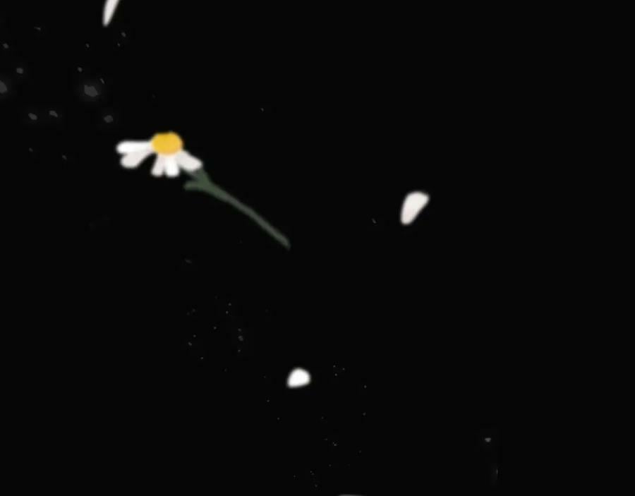 170 保命秘法，一生一次75