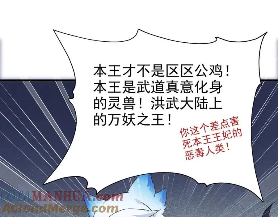 227 我是公鸡，可爱火鸟25