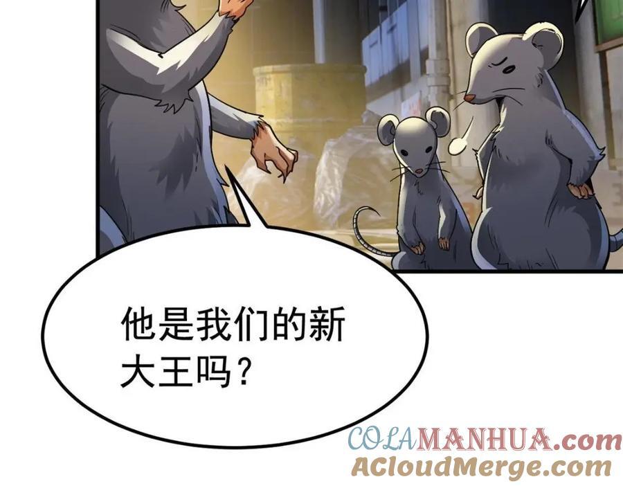 182 老张醒醒，一起异域？13