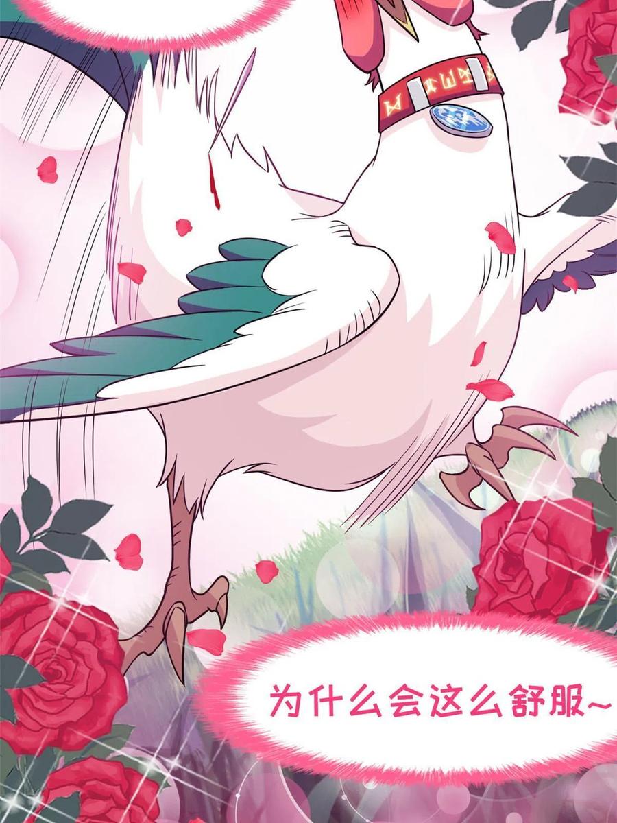 83 鸡果然鸡，臭不要脸！34
