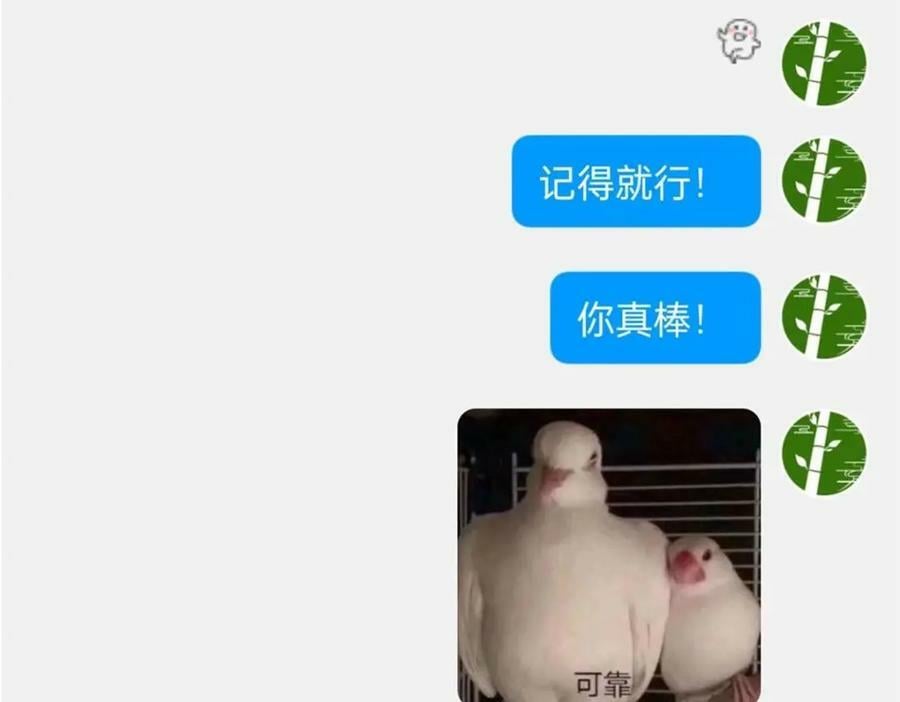 169 最高战力？是他是他104
