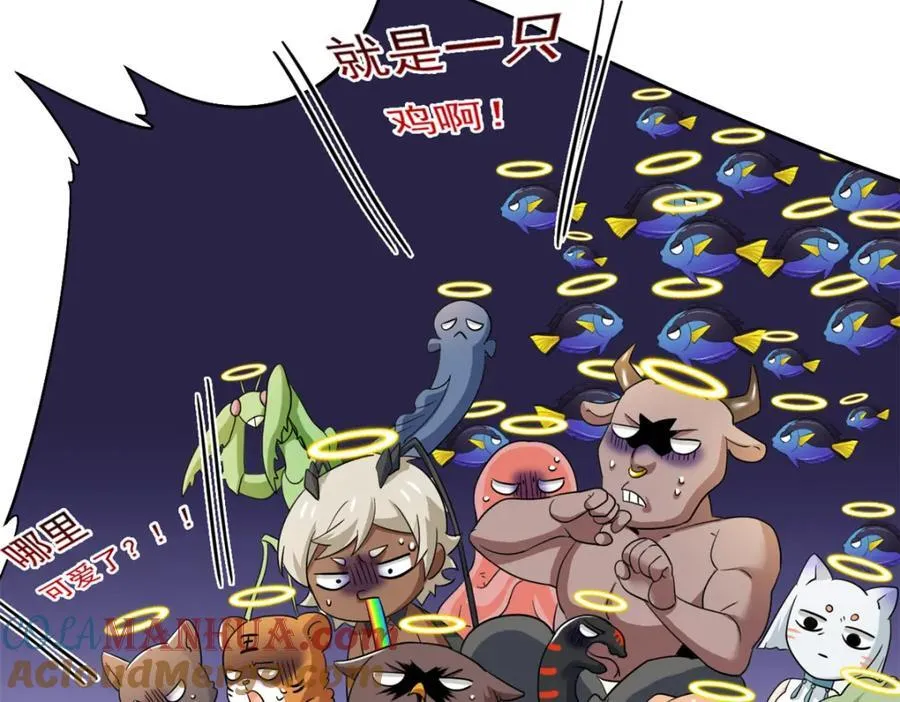 227 我是公鸡，可爱火鸟33