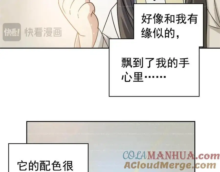 206 说话算话，回来娶你94