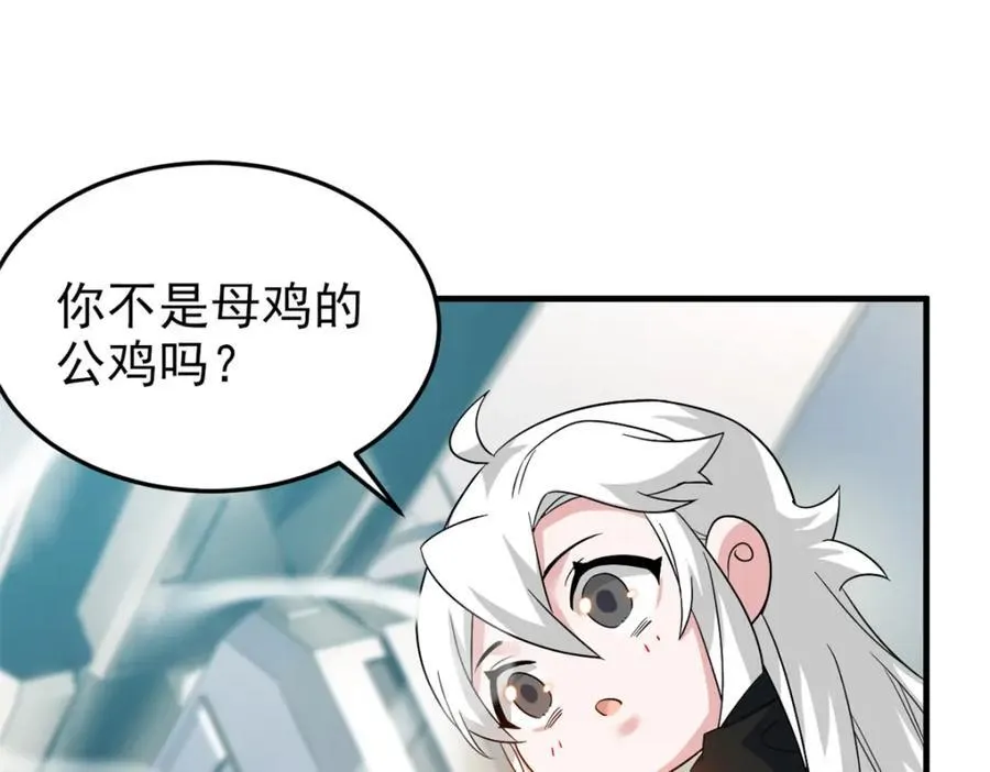 227 我是公鸡，可爱火鸟28