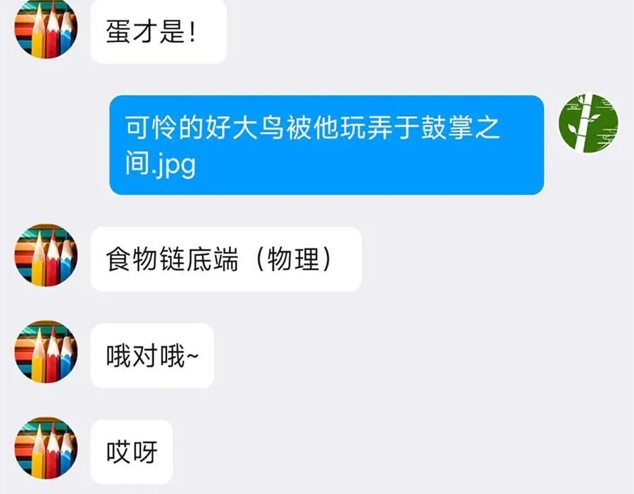 260 太好吃了~靠谱大鸟！98