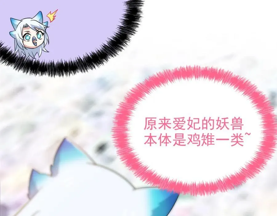 227 我是公鸡，可爱火鸟30