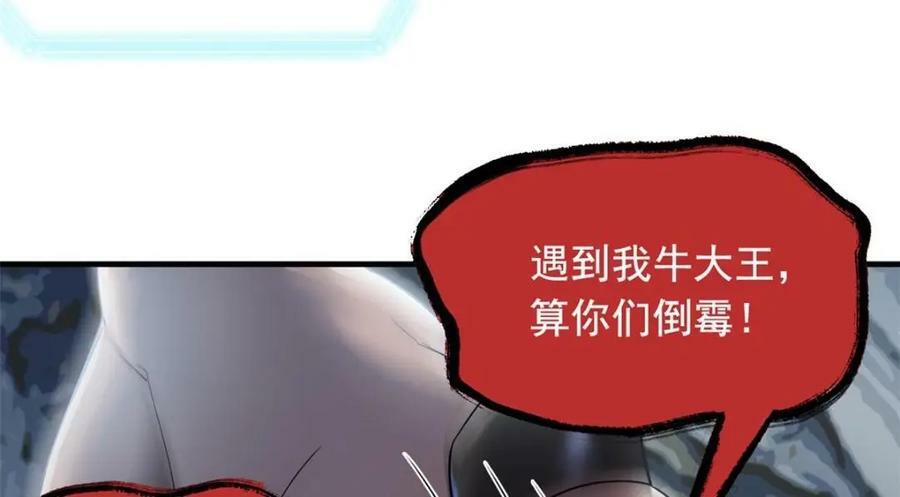 177 快乐郊游，孜然牛肉81