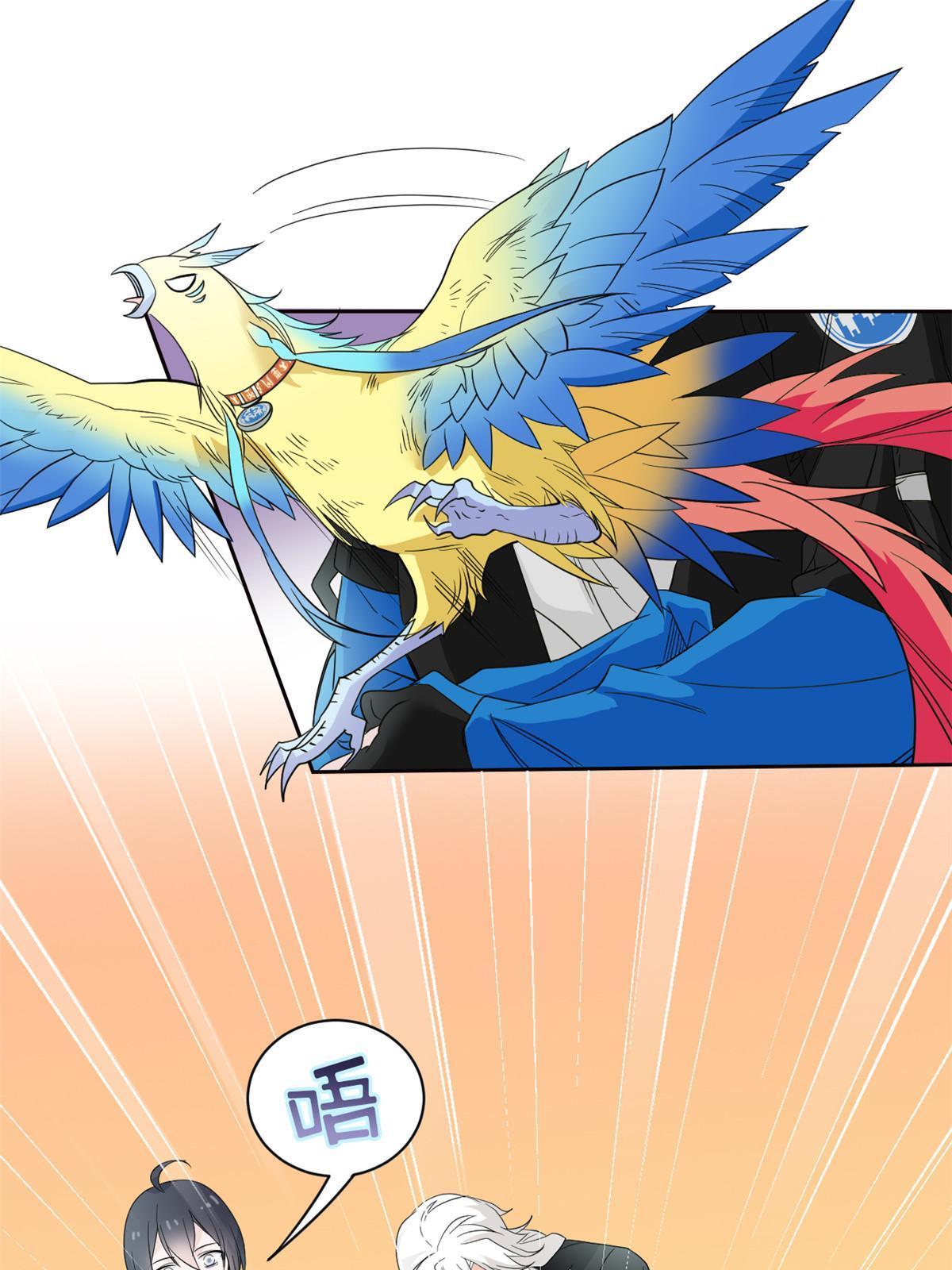 114 兽能逆天，不如放弃67