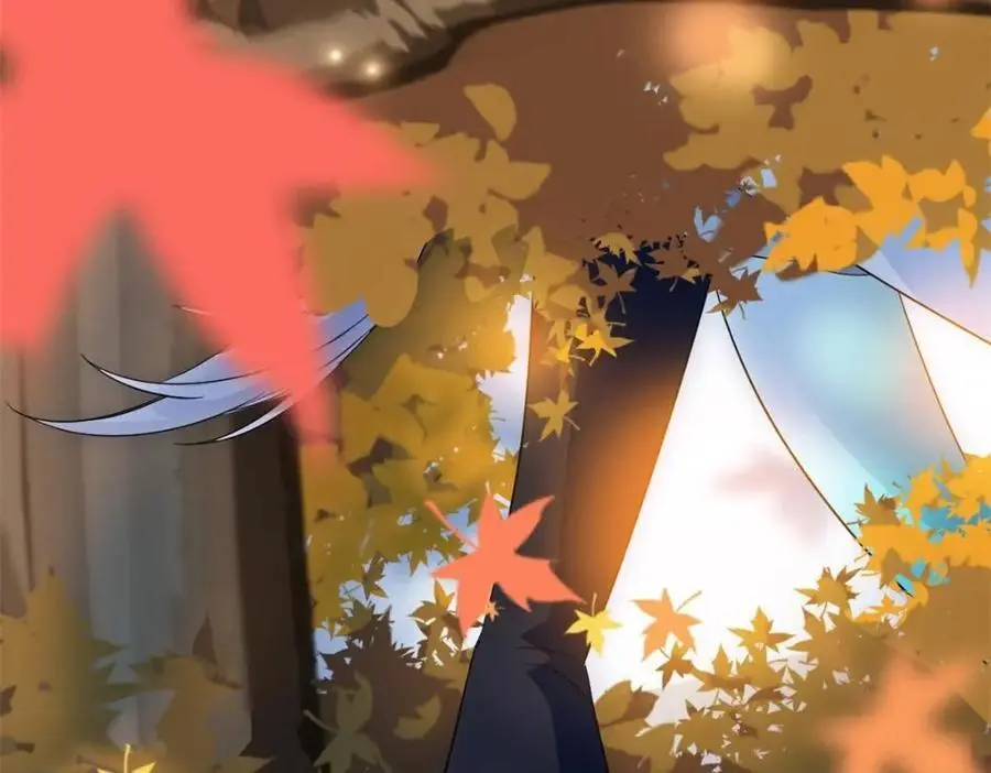 206 说话算话，回来娶你117