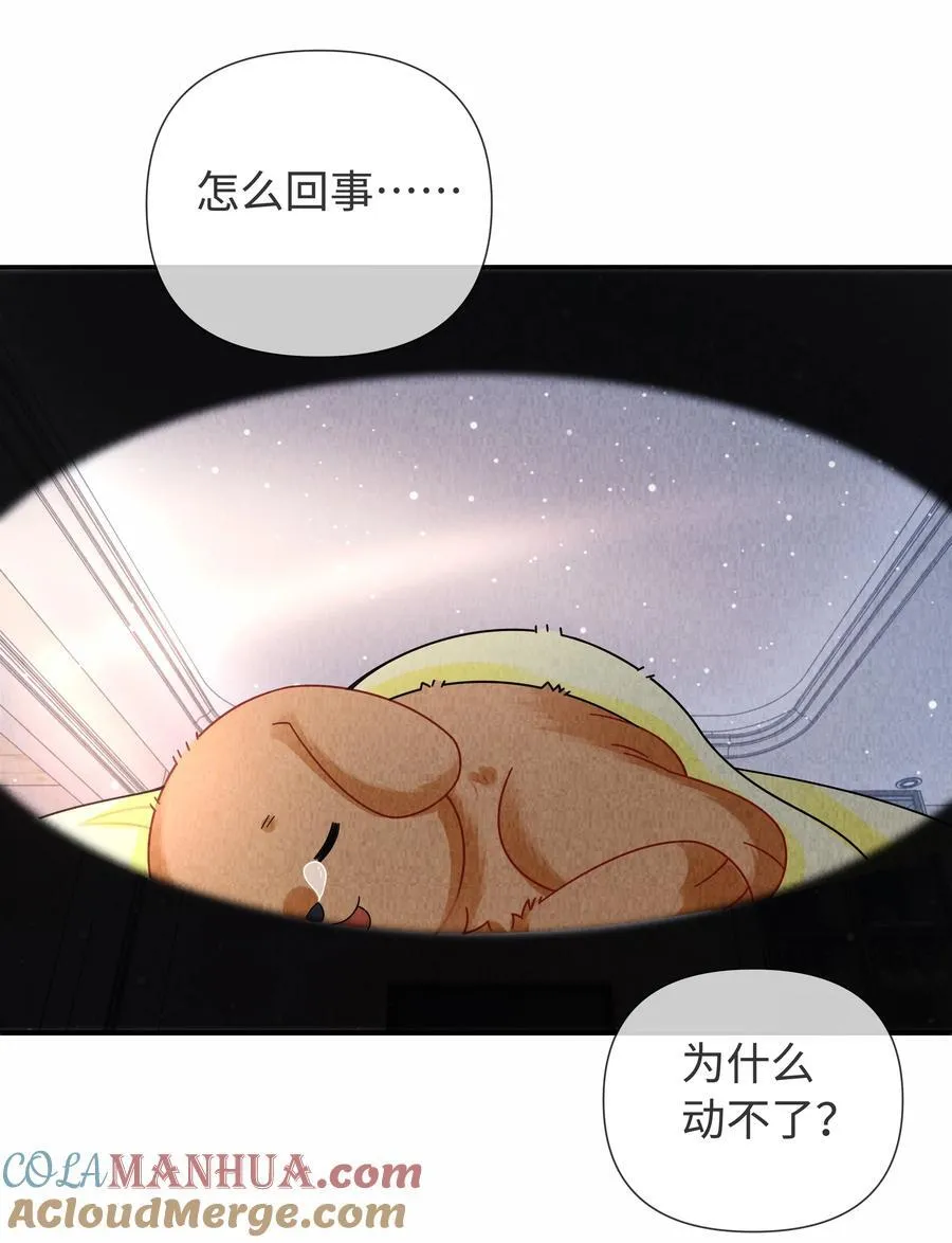 091 你是……哈士奇？28