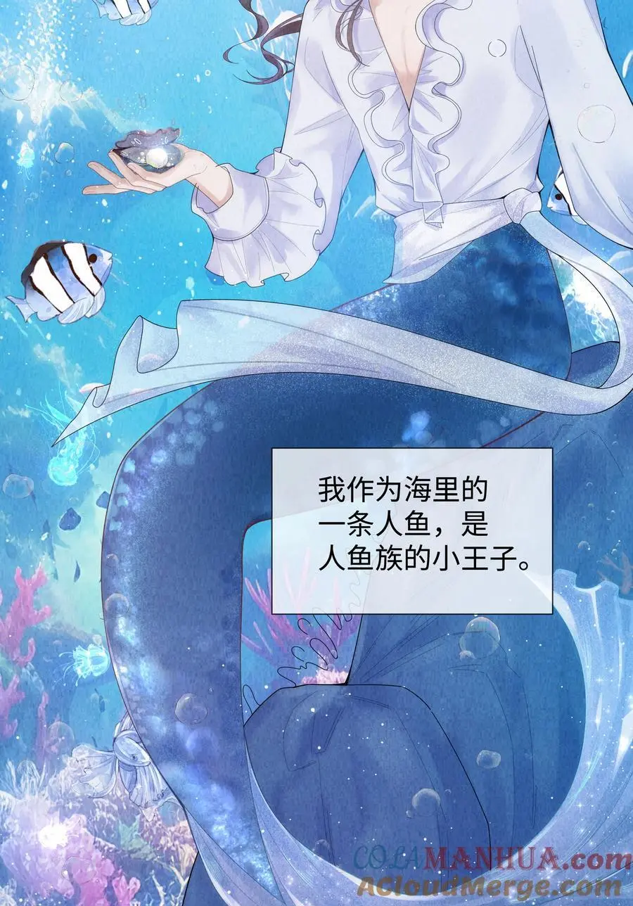 088 都是我不好34