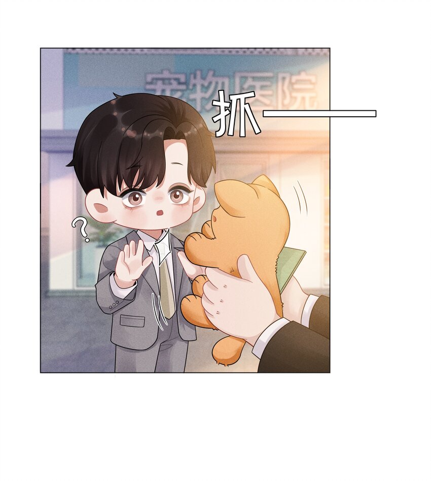046 我小时候，是哈士奇！16