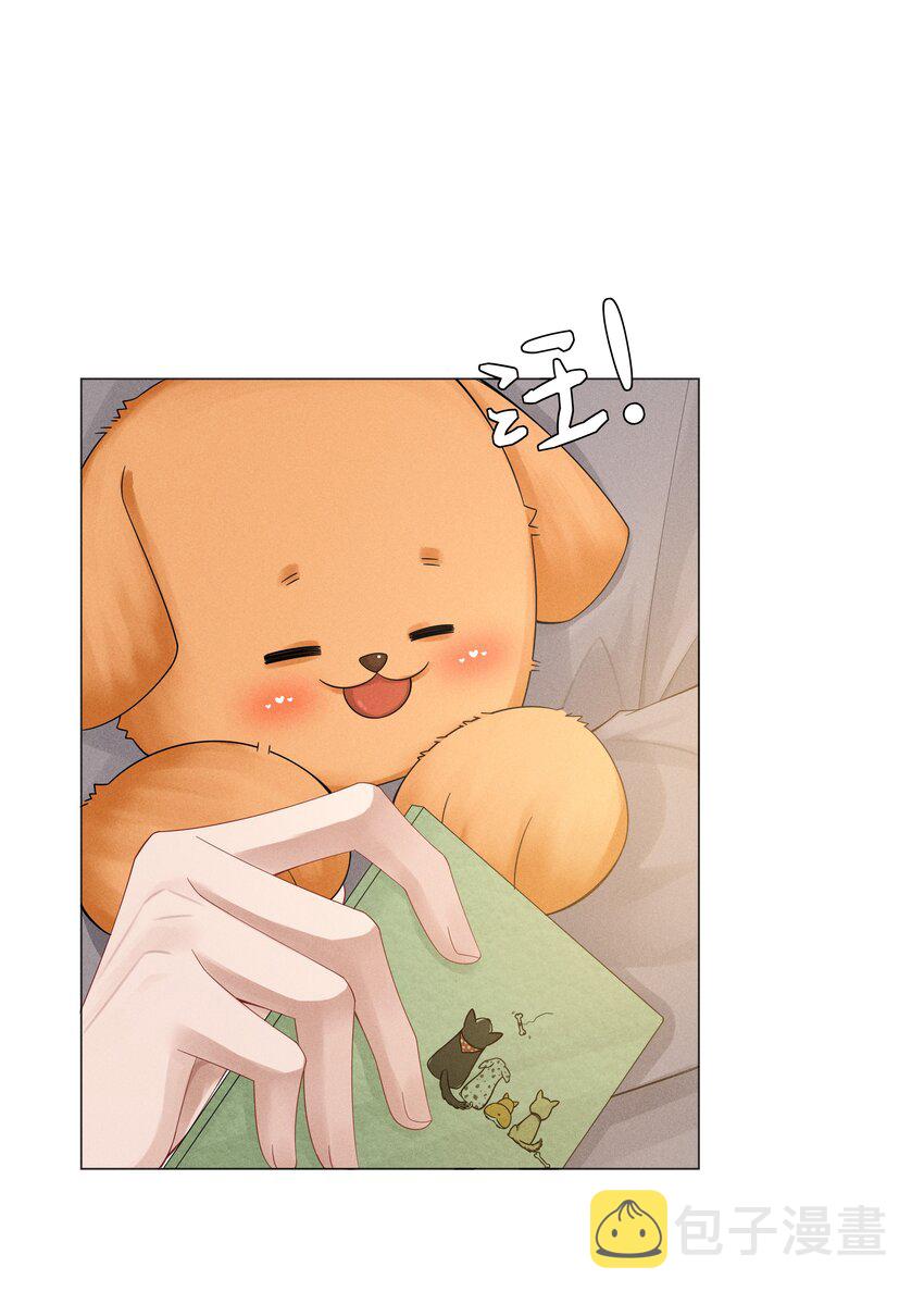 046 我小时候，是哈士奇！12