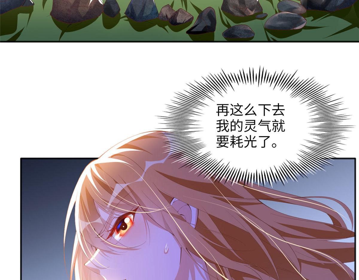 019 赌石大会来了！11