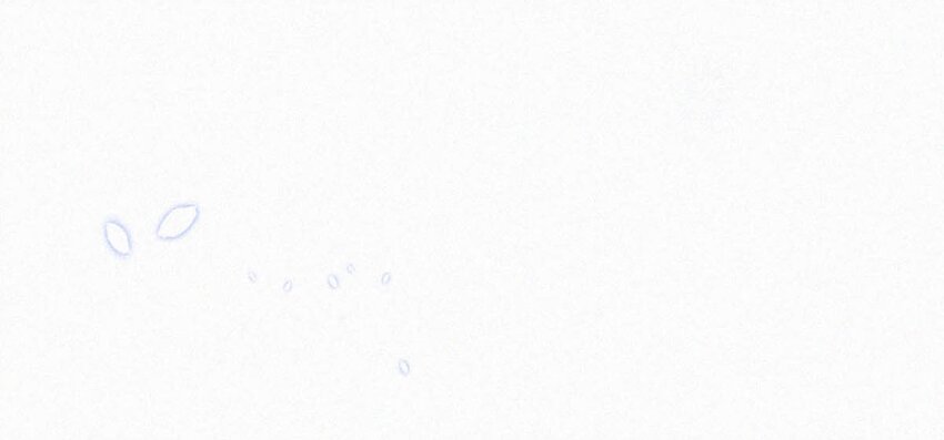 058 一起，好不好。10