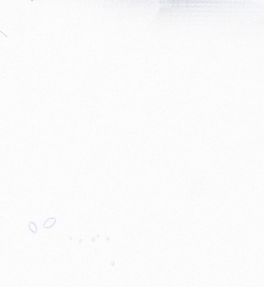 057 别怕——会很舒服的。39