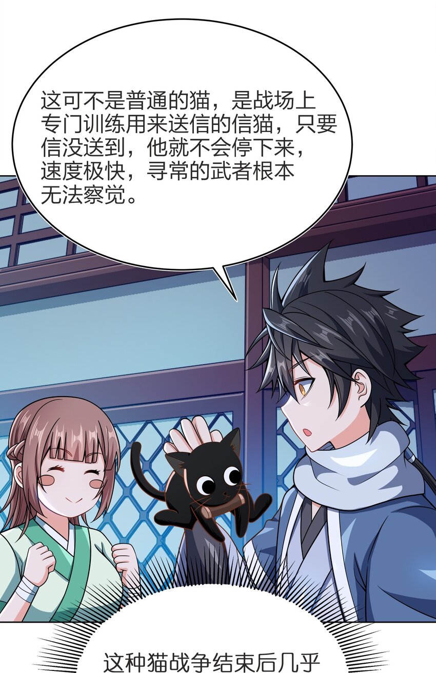 029 信猫26