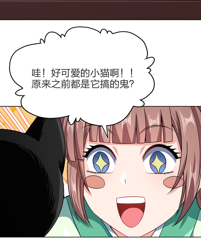029 信猫25
