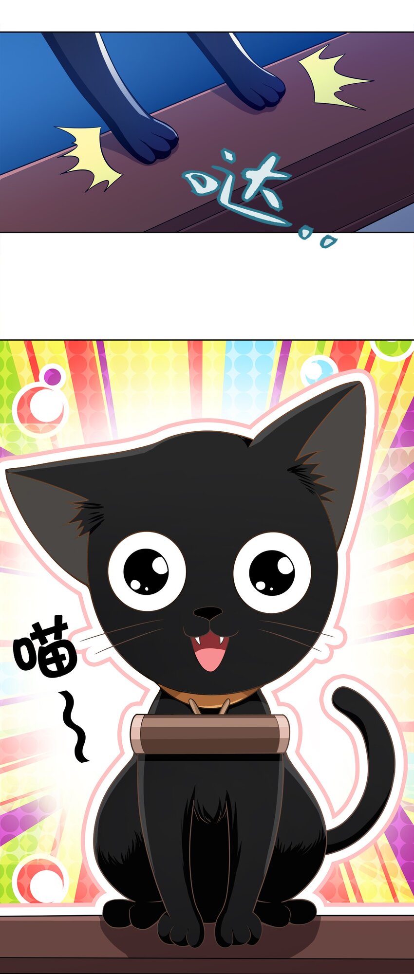 029 信猫24