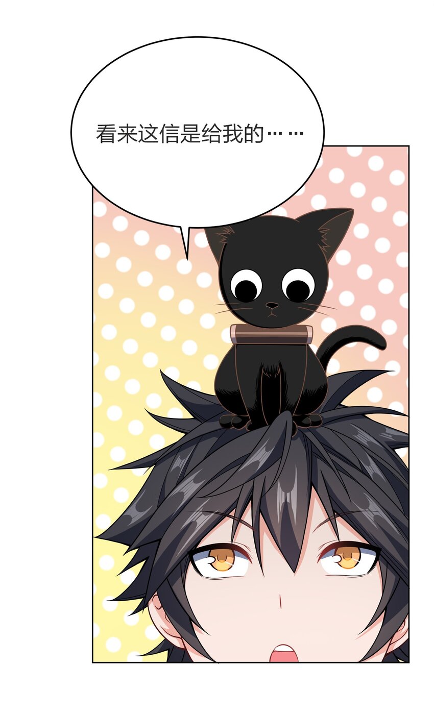 029 信猫29