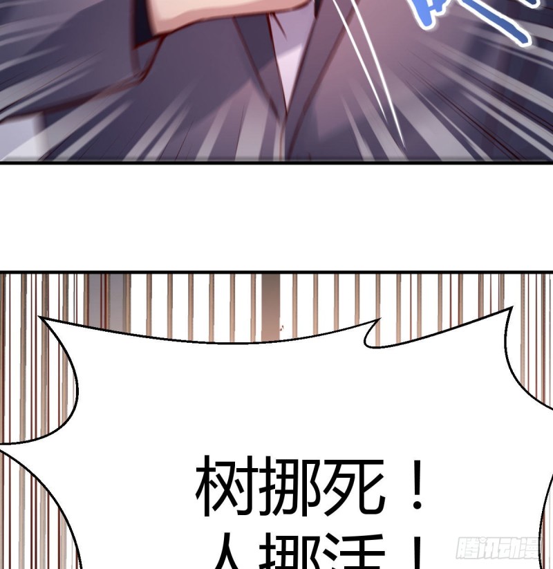 伙伴的决心4