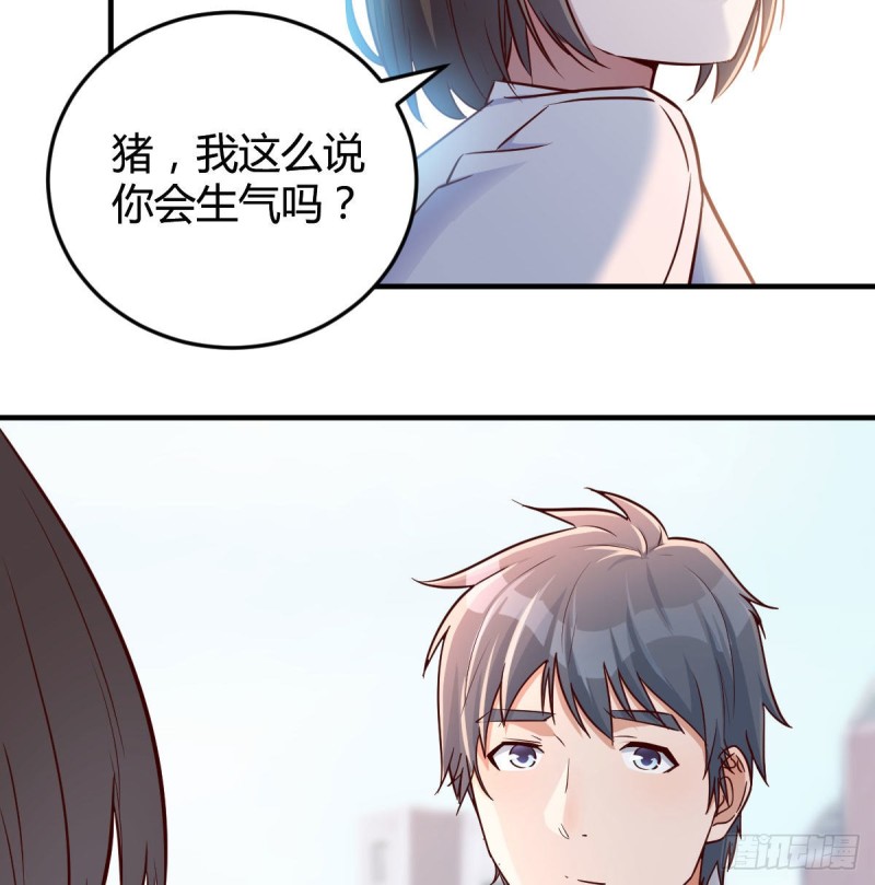 乱撒狗粮20