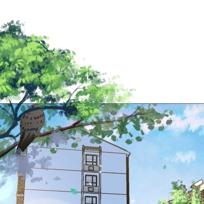 鸡蛋面1