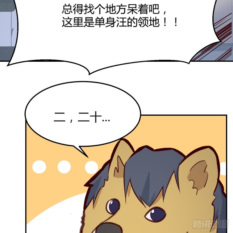 误入单身狗的地盘53