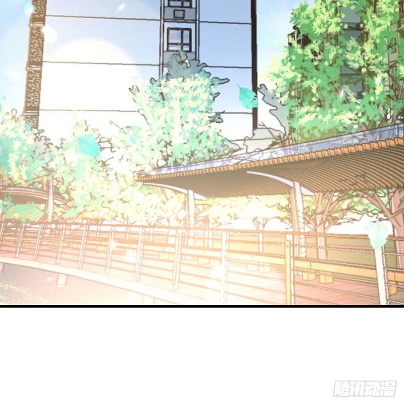 鸡蛋面2