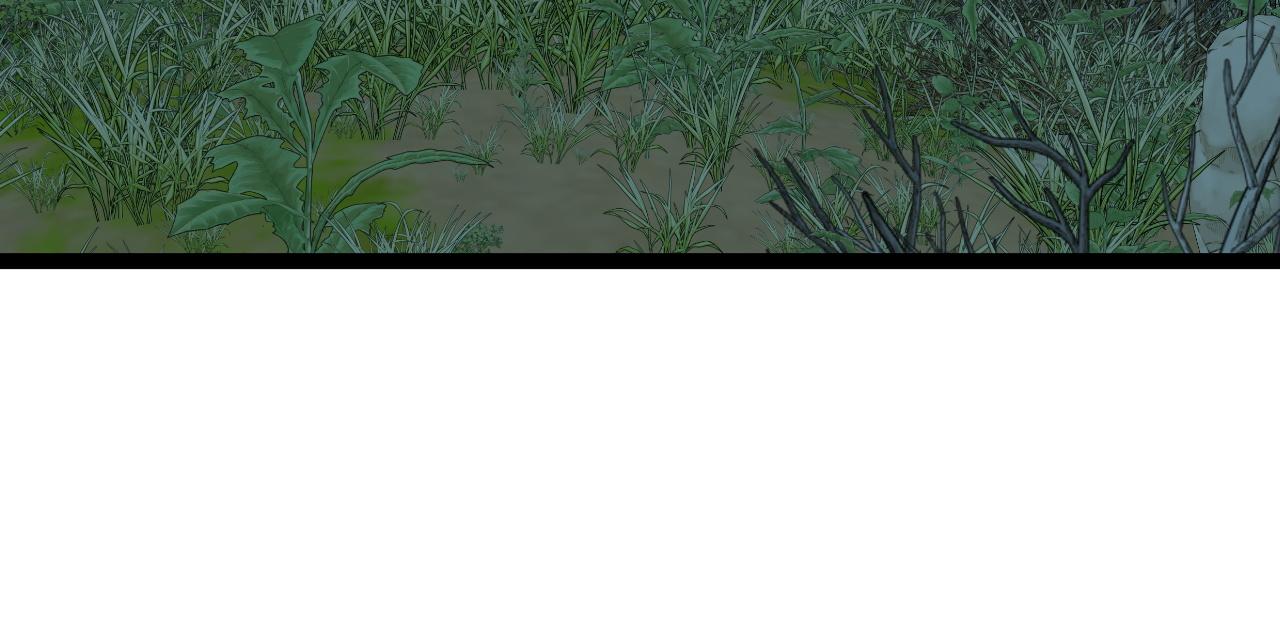 第44话 第一只兽宠95