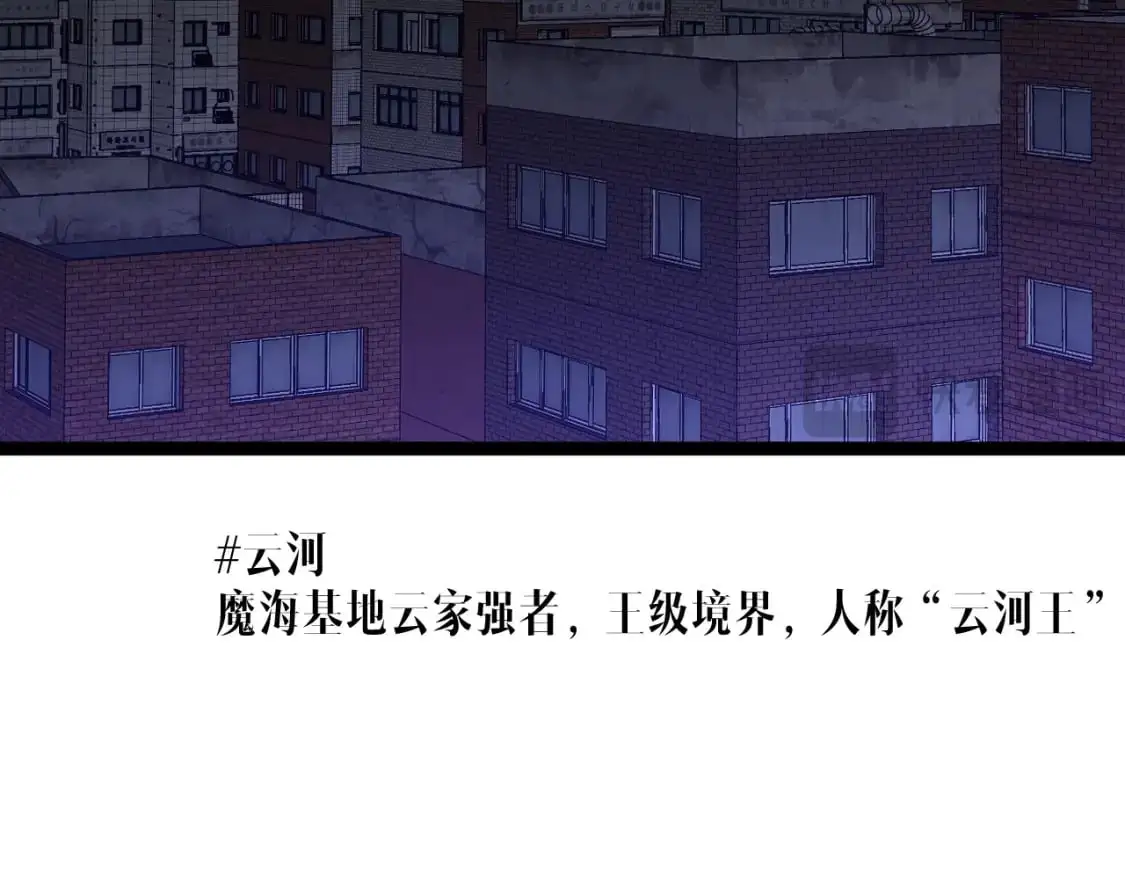 第63话  王级强者！！99