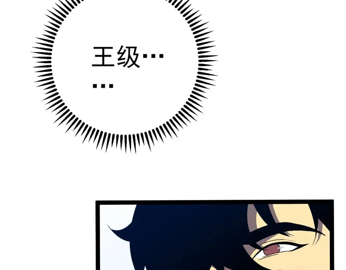 第63话  王级强者！！92