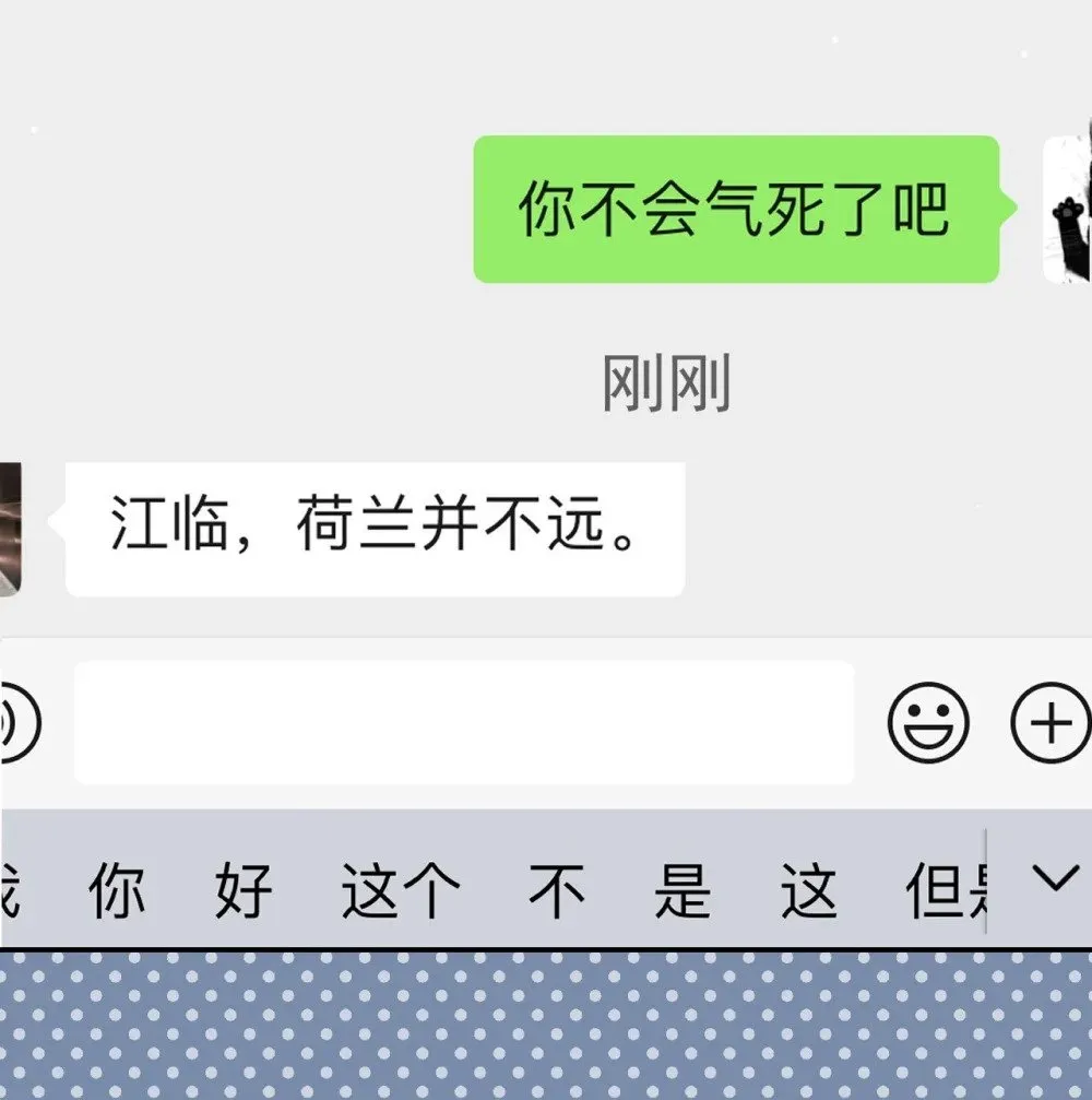 150 荷兰并不远5