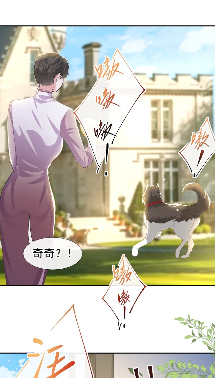 第68话 奇奇？你怎么在这！9