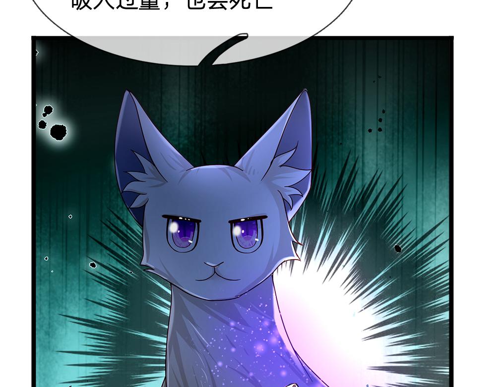 第176话 这只猫有问题65
