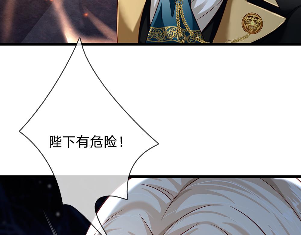 第146话  陛下有危险！67