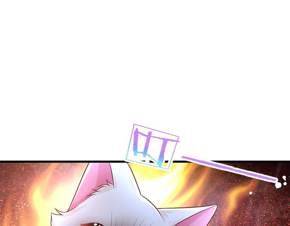 第155话 被光选中的喵10