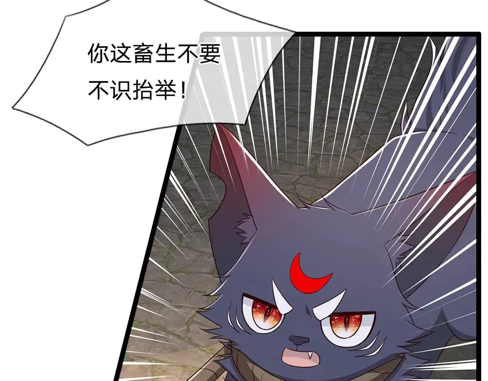 第339话 跟着我就对了62