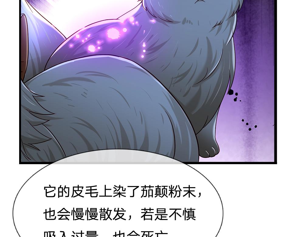 第176话 这只猫有问题64