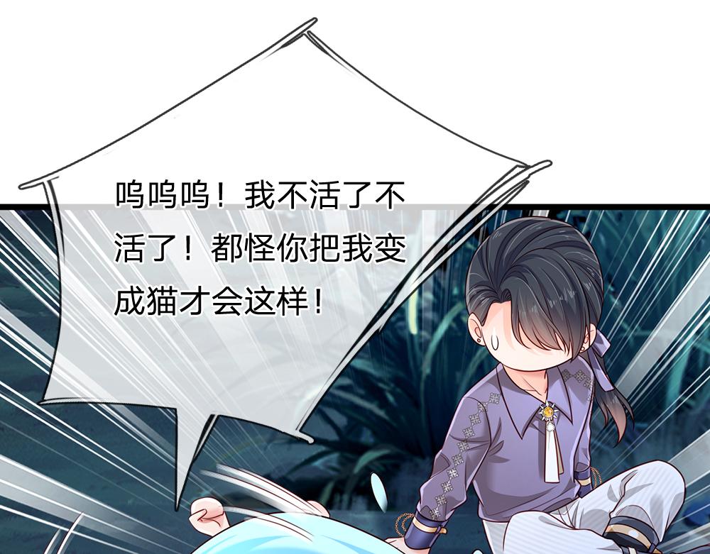 第155话 被光选中的喵55