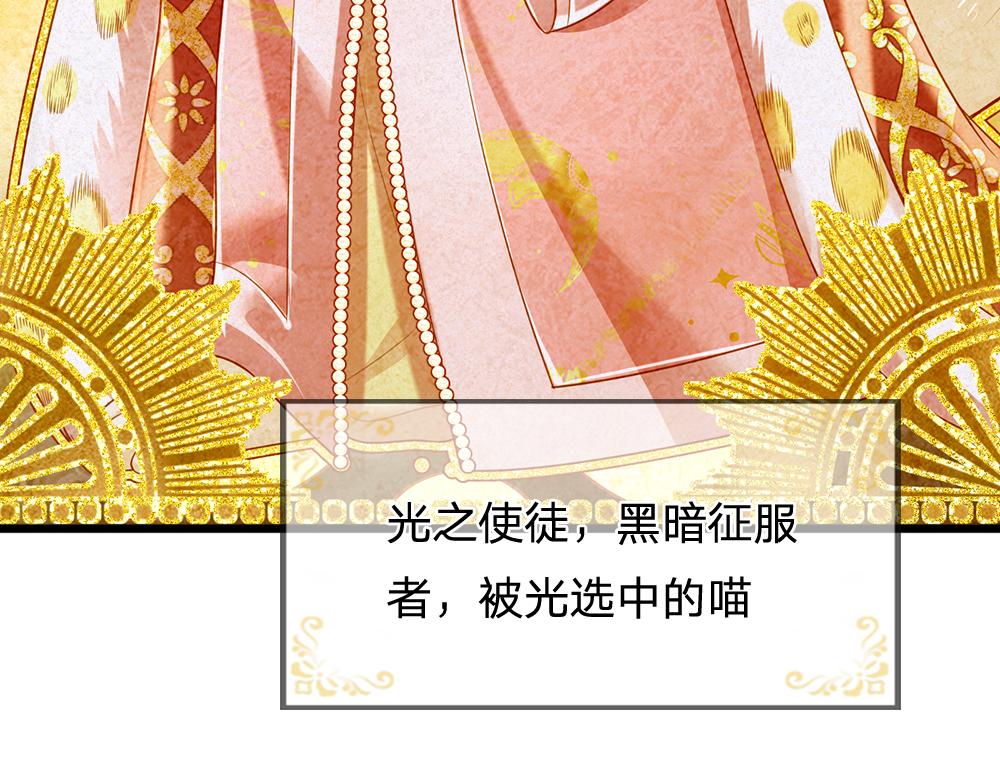 第155话 被光选中的喵34