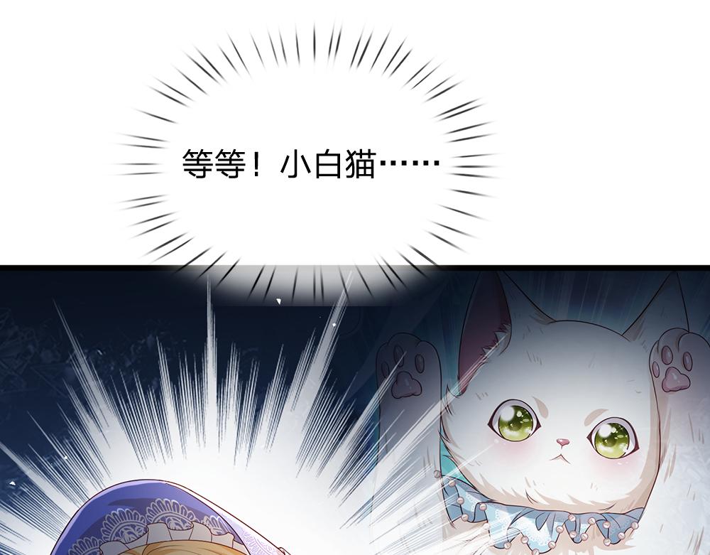 第176话 这只猫有问题37