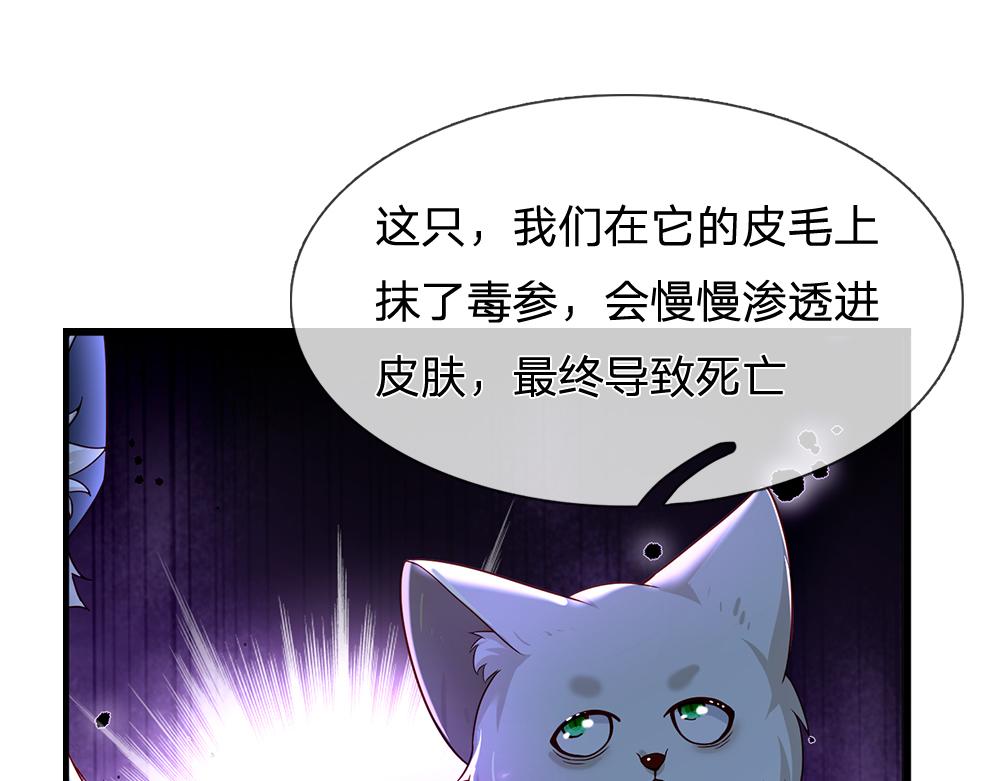 第176话 这只猫有问题63
