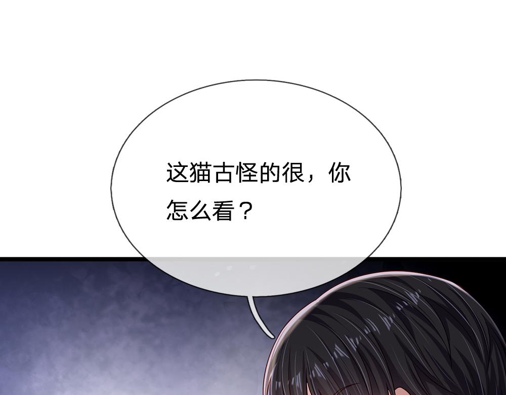 第155话 被光选中的喵21