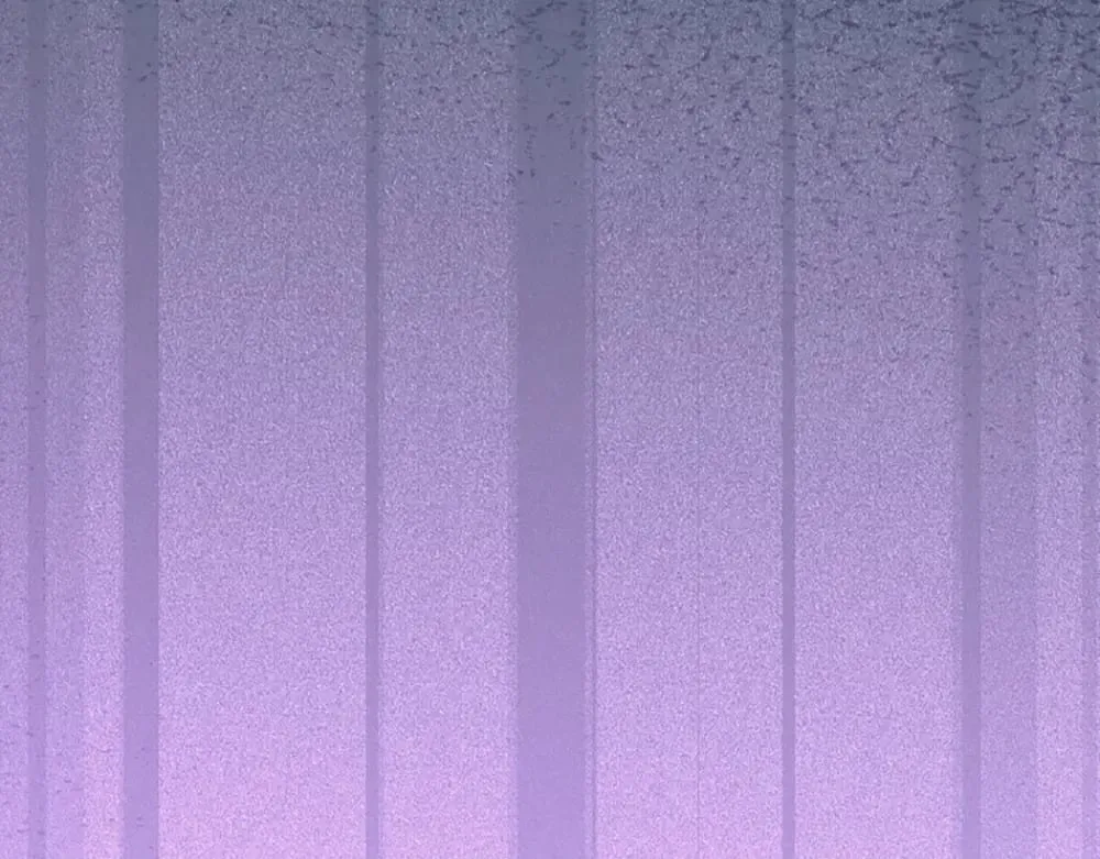 第316话 听岔了65