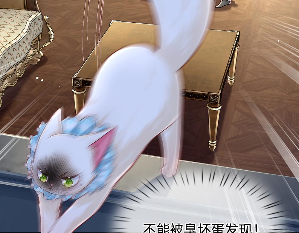 第155话 被光选中的喵16