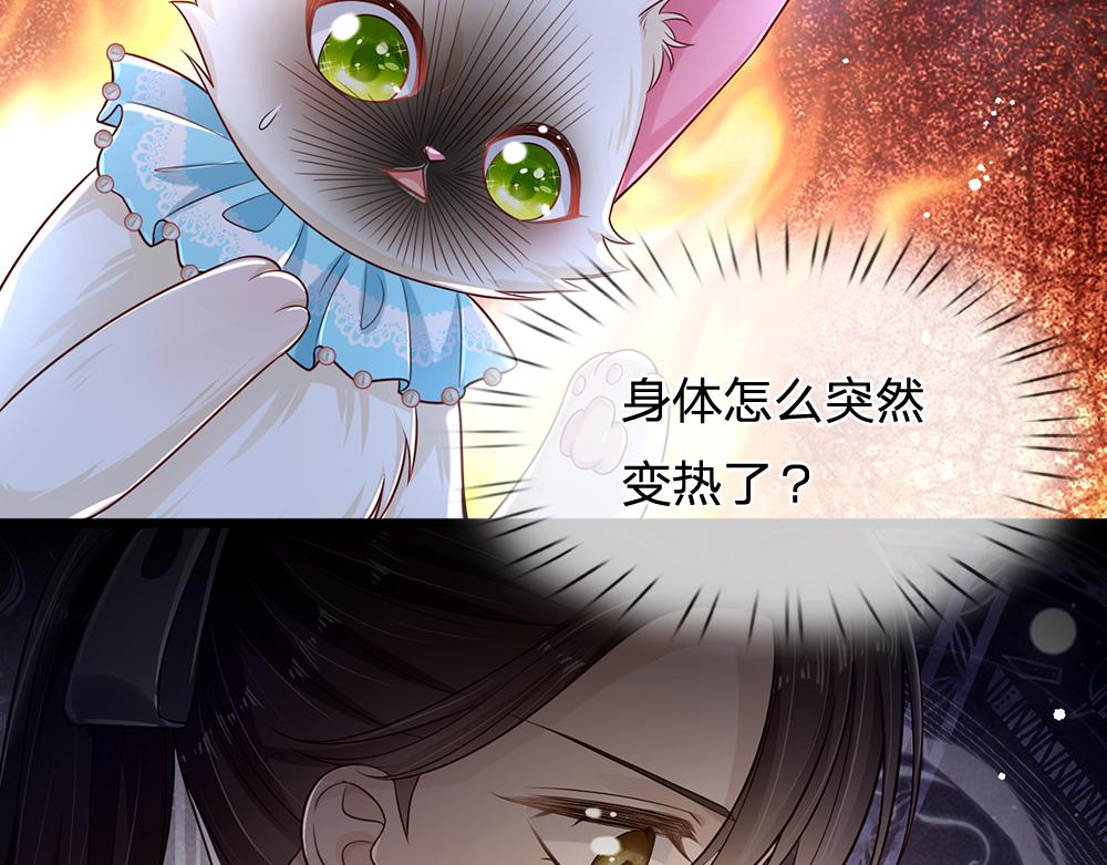 第155话 被光选中的喵11
