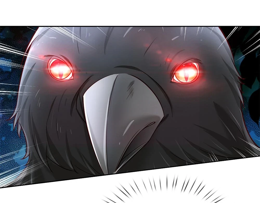 第204话 神谕34