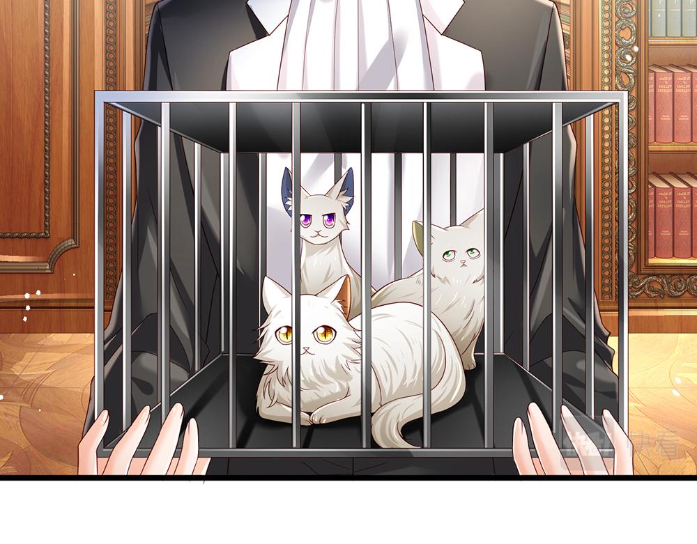 第176话 这只猫有问题59