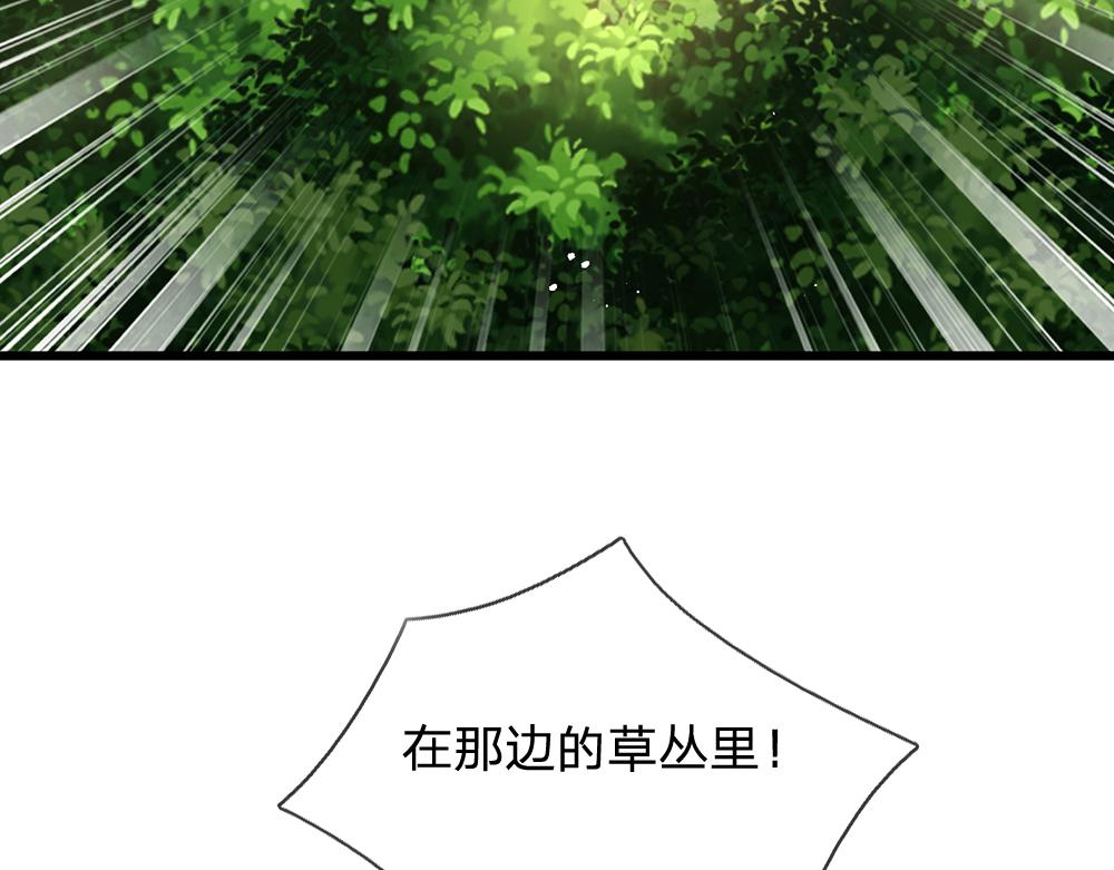 第176话 这只猫有问题18